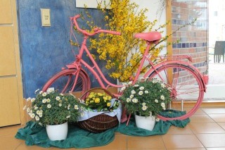 Das rosa Fahrrad schmückt den Eingangsbereich